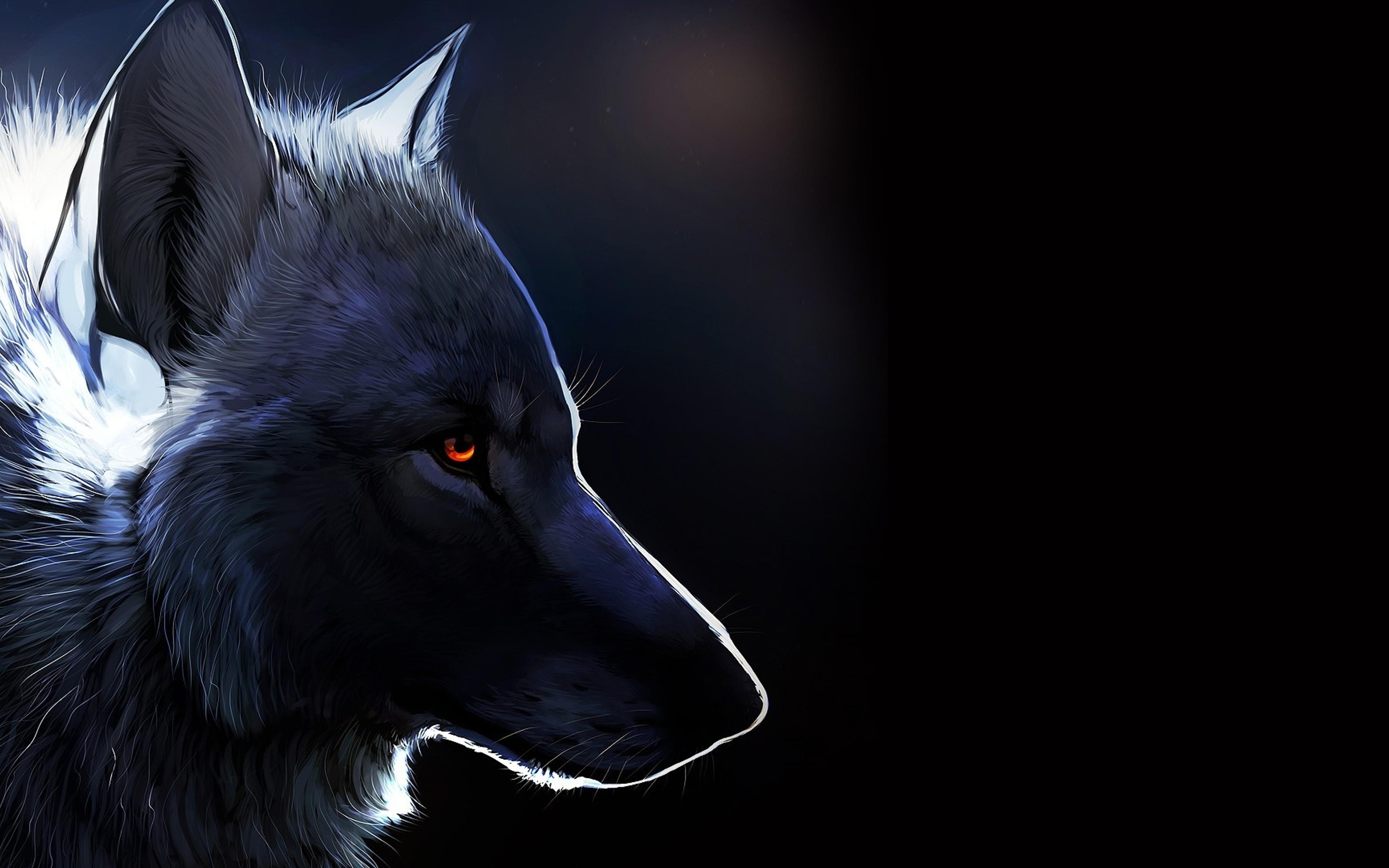 Black wolf drawing - Dark creative wallpaper
